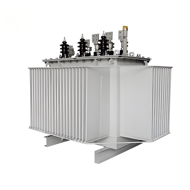 S20 Series High-Efficiency Oil Immersed Power Transformer 10kV S20 Series High-Efficiency Oil Immersed Power Transformer 10kV